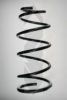 SPIDAN 55893 Coil Spring